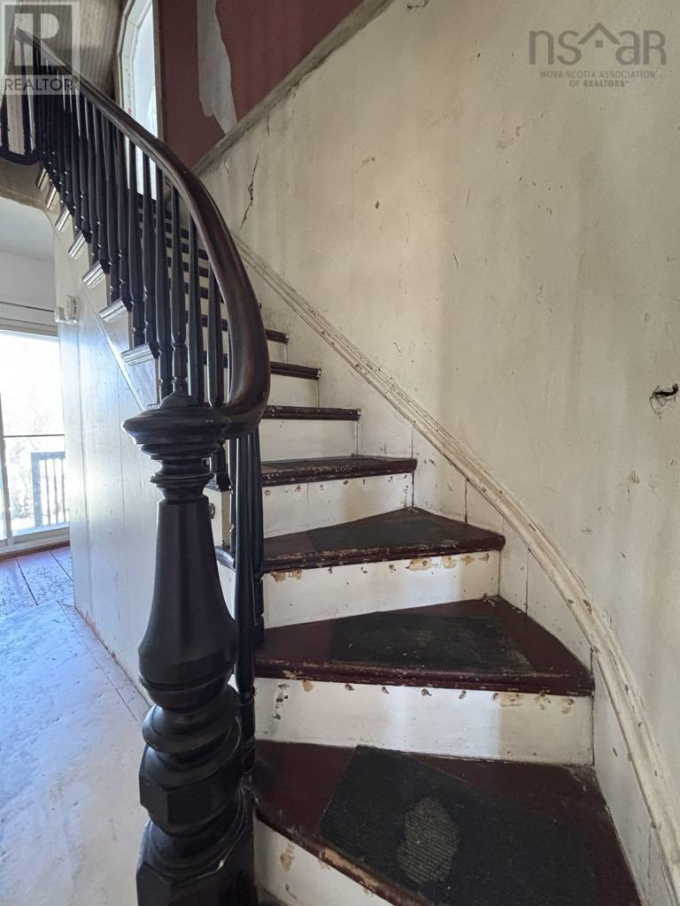 5 Strickland Road Property Photo 29