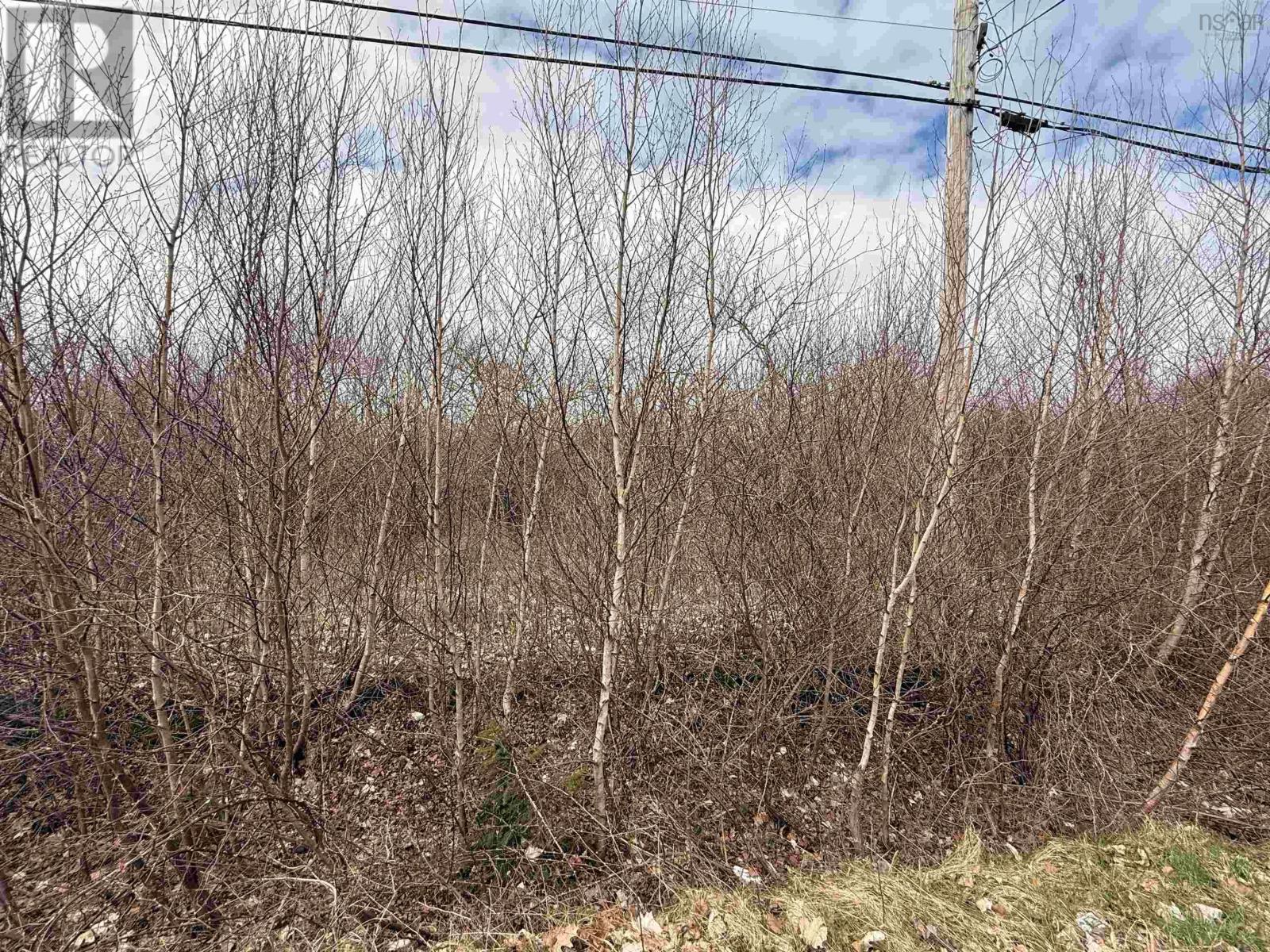 Lot Cavelle Avenue Property Photo 2