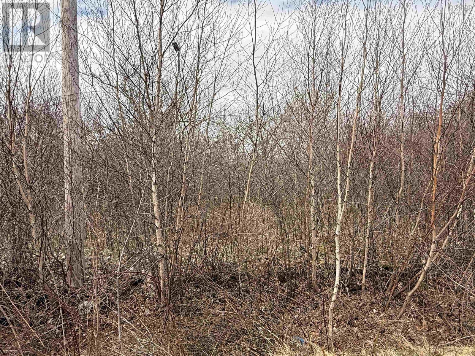 Lot Cavelle Avenue Property Photo 3