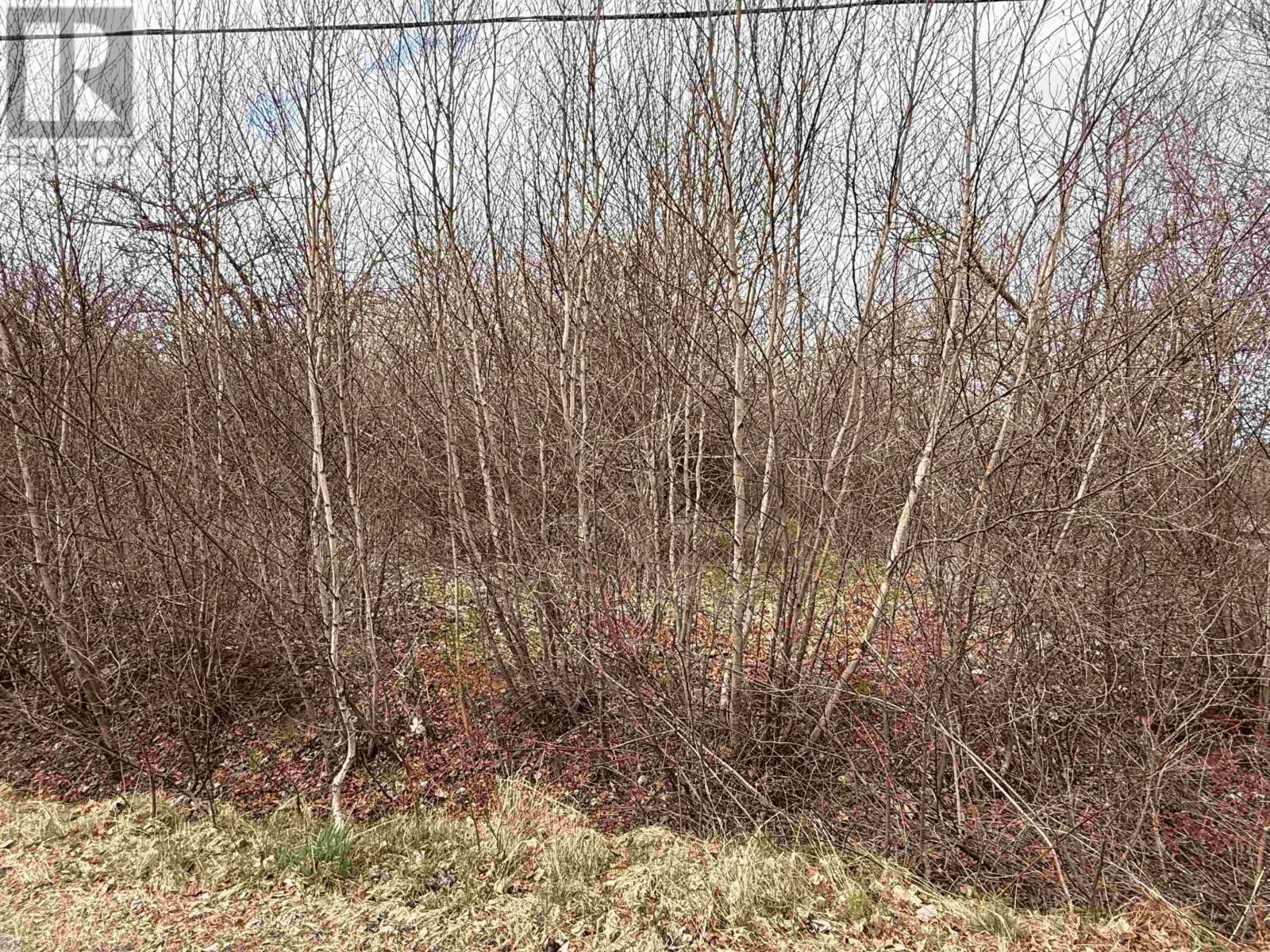 Lot Cavelle Avenue Property Photo 4