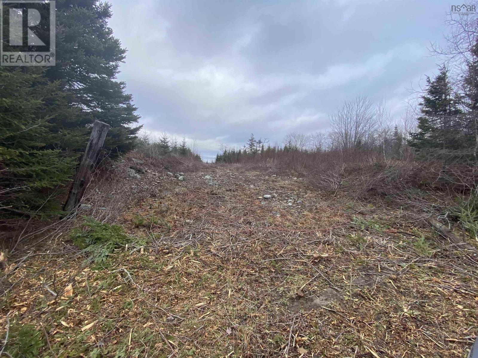 Lot 22 & 23 Trafalgar Rd Highway 374 Property Photo 3
