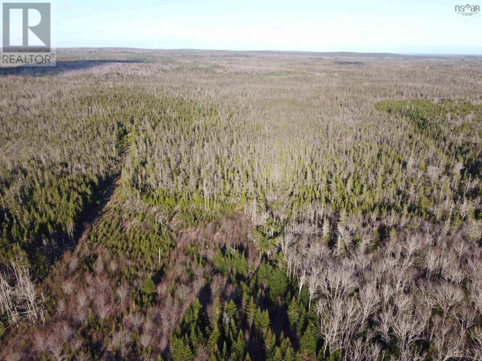 Lot 22 & 23 Trafalgar Rd Highway 374 Property Photo 4