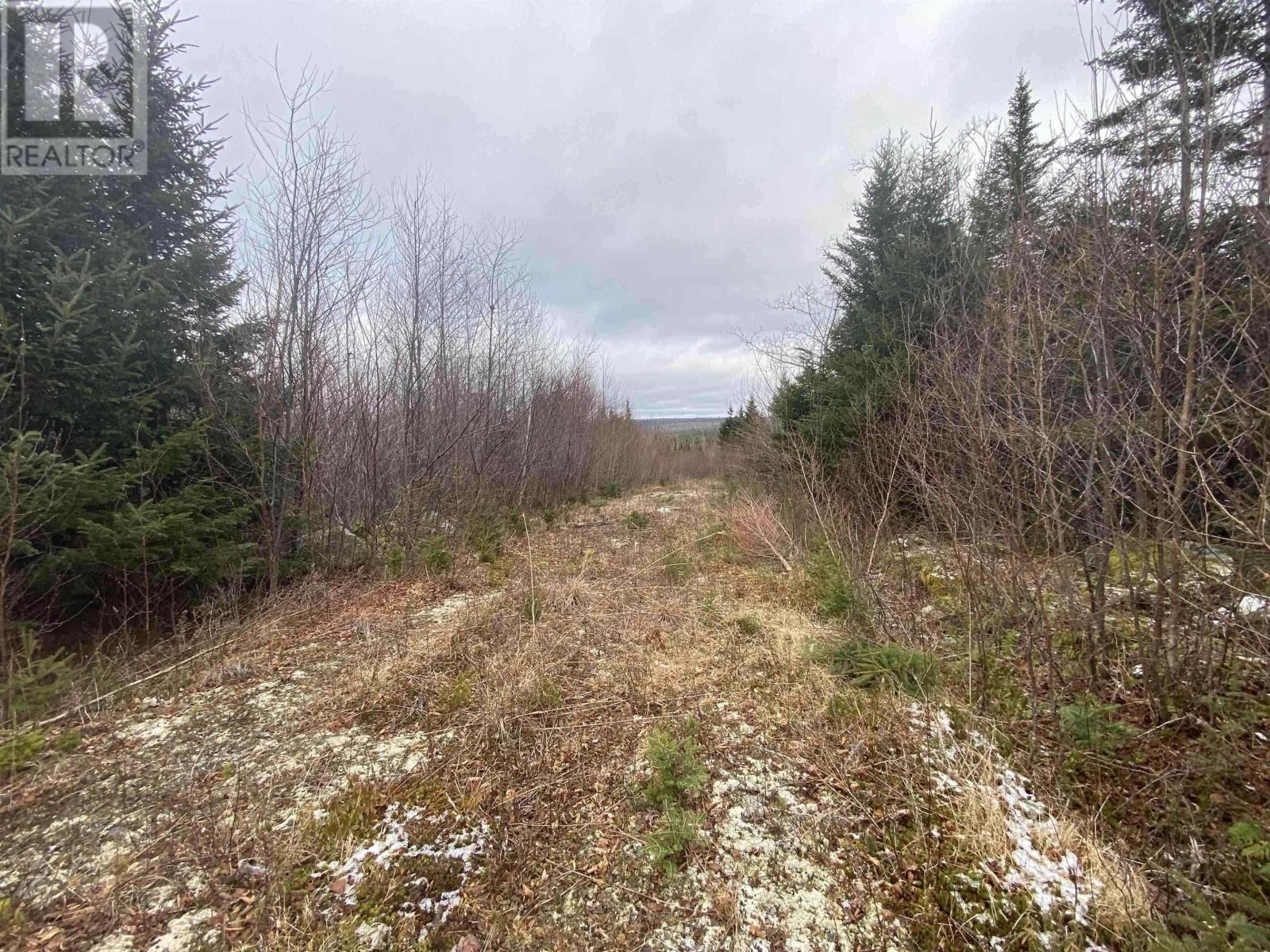Lot 22 & 23 Trafalgar Rd Highway 374 Property Photo 9