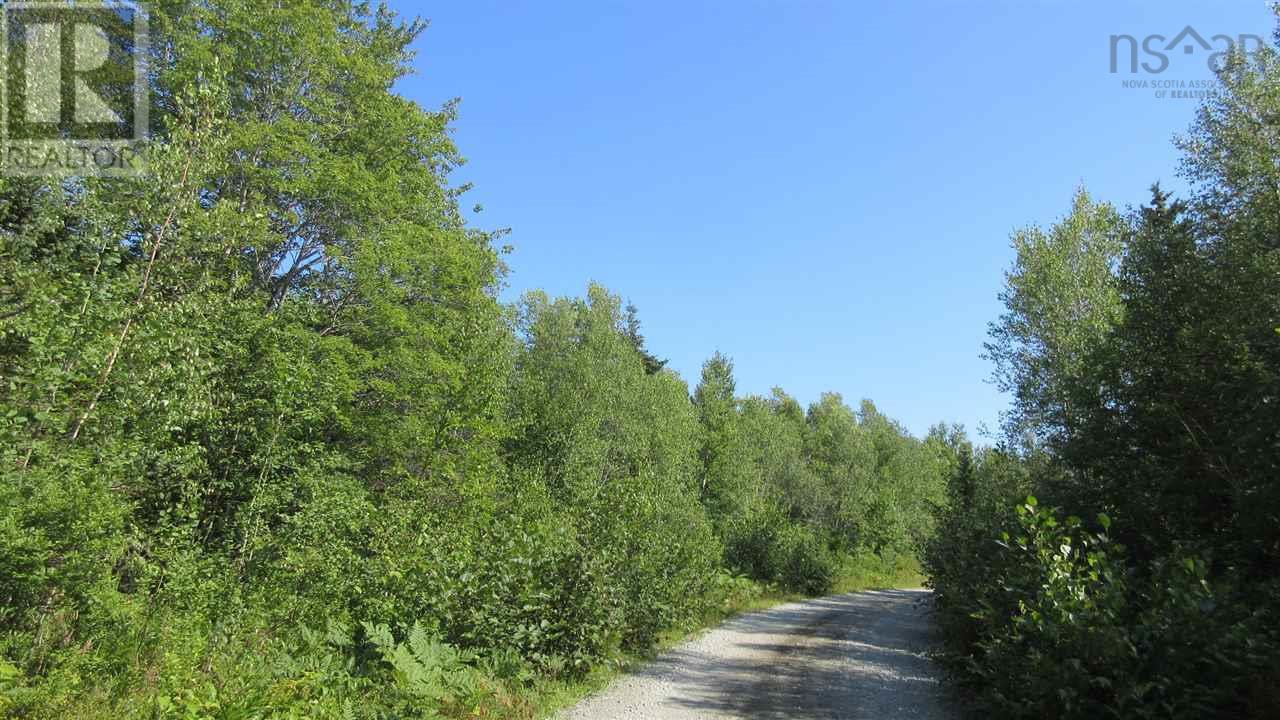 Highway 101 Property Photo 26