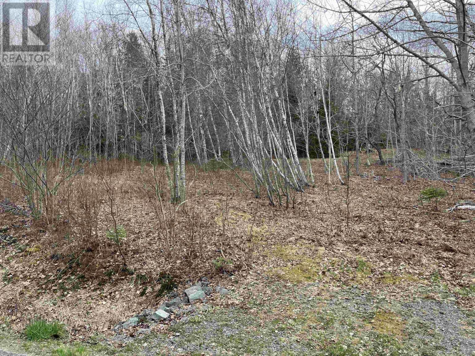 Lot 2 Sarty Road Property Photo 1