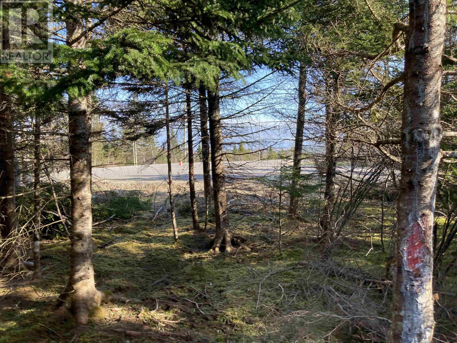 Lot 21-10 Mary Cecelia Ridge Property Photo 22