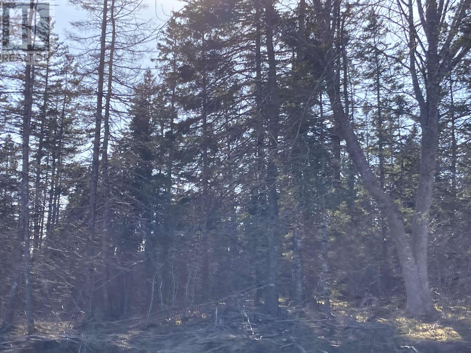 Lot 21-8 Mary Cecelia Ridge Property Photo 23