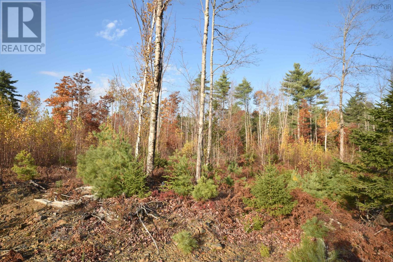 Lot 25-1 Upper Branch Road Property Photo 1