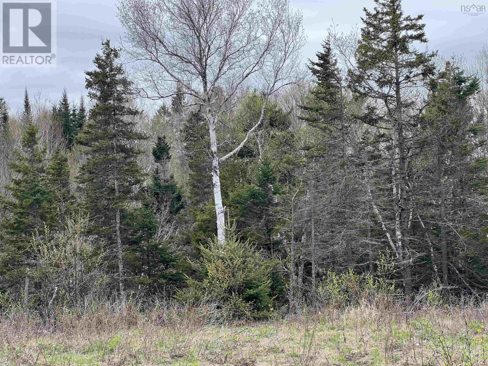 Lot RJG-1 Long Beach Road Property Photo 1