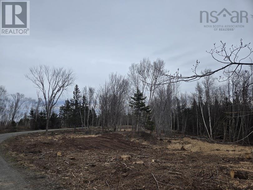 Lot 21 Birch Hill Lane Property Photo 1