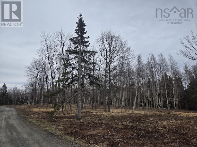 Lot 22 Birch Hill Lane Property Photo 1