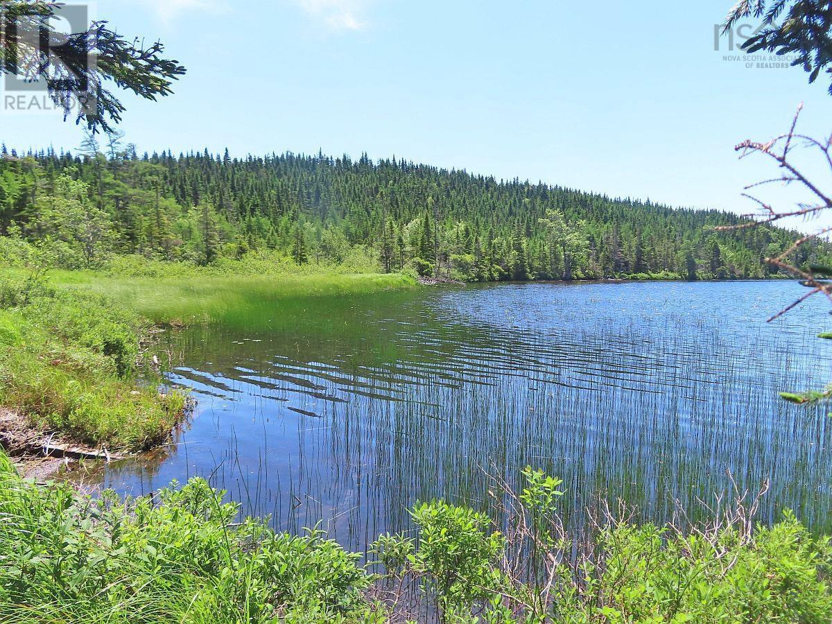 Lot 3 Upper Grand Mira Road Property Photo 7