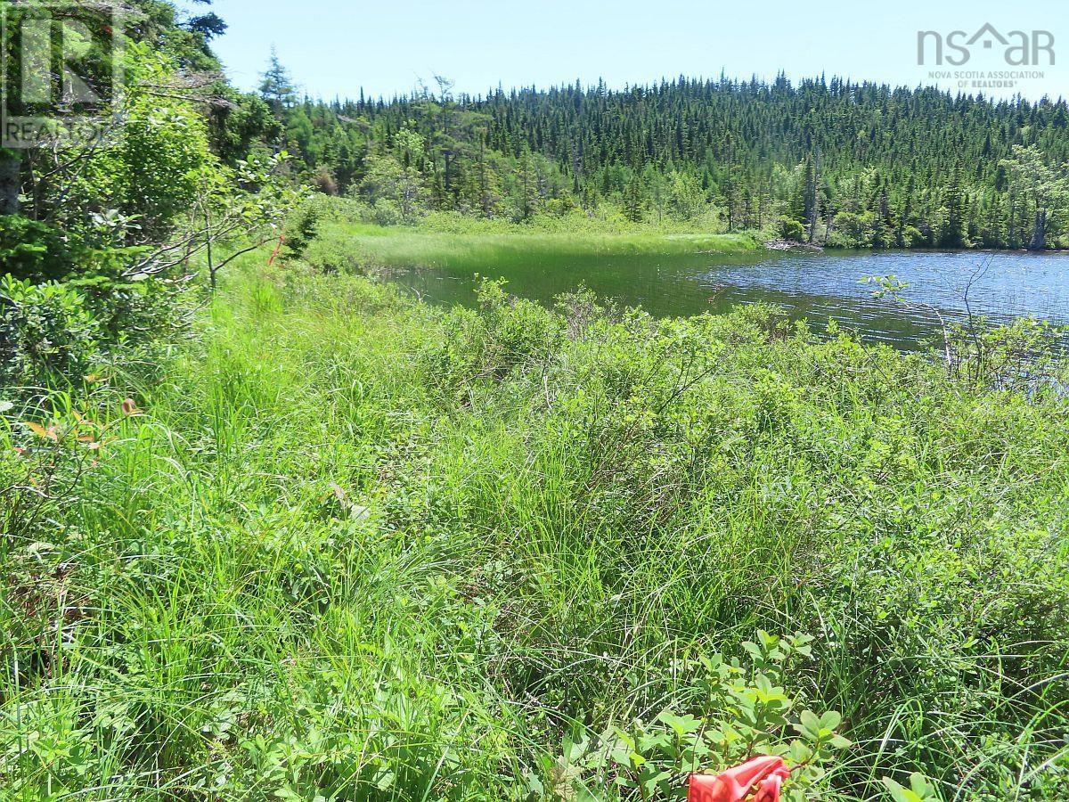 Lot 3 Upper Grand Mira Road Property Photo 10