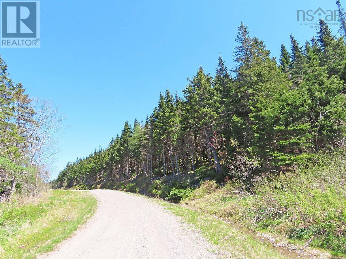 Lot 3 Upper Grand Mira Road Property Photo 12