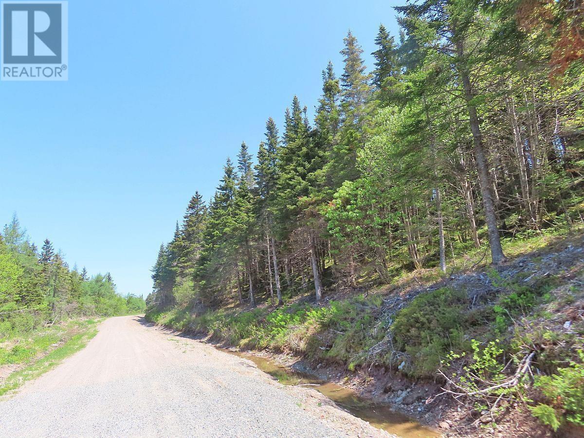 Lot 3 Upper Grand Mira Road Property Photo 15