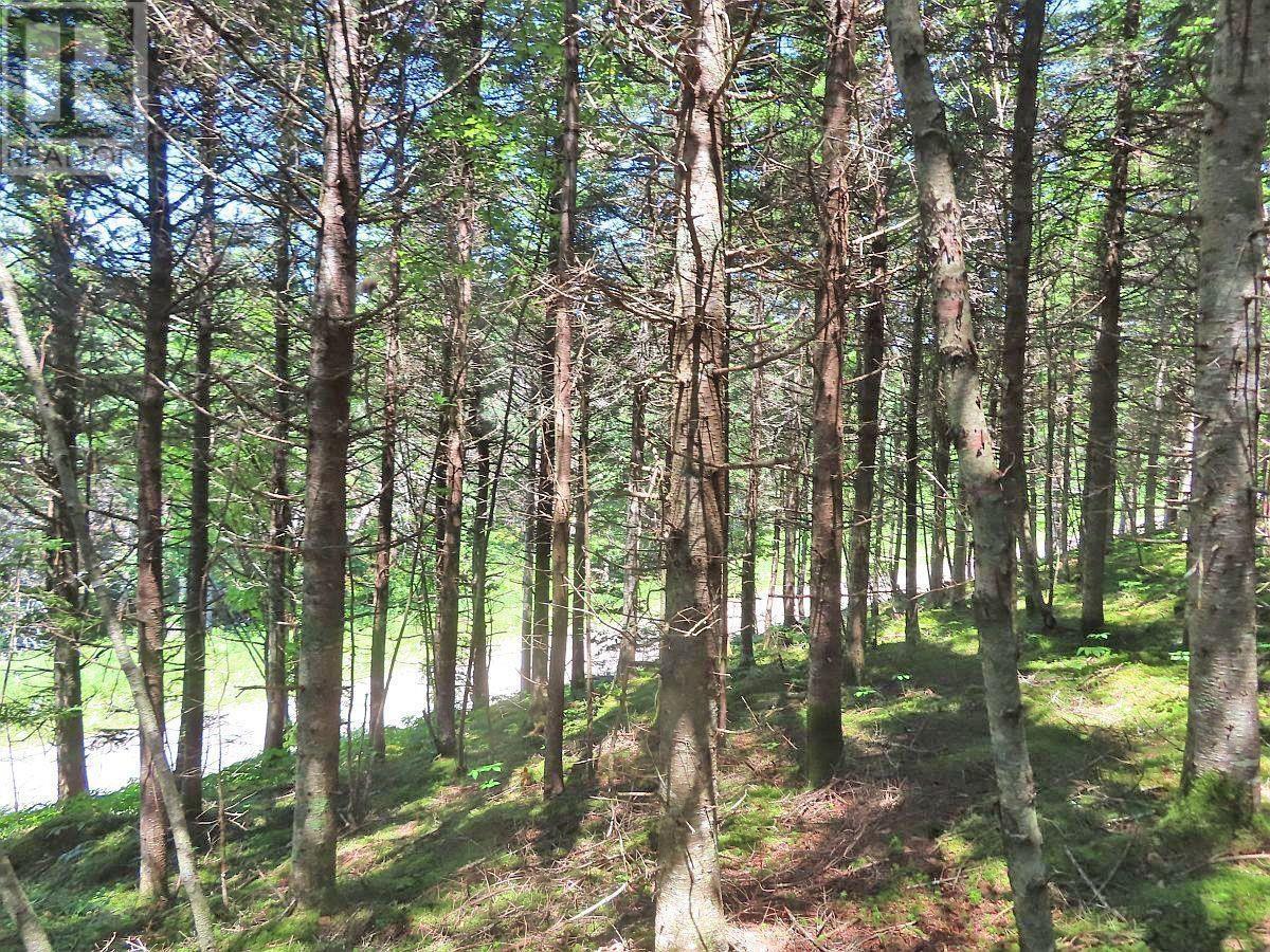 Lot 3 Upper Grand Mira Road Property Photo 16