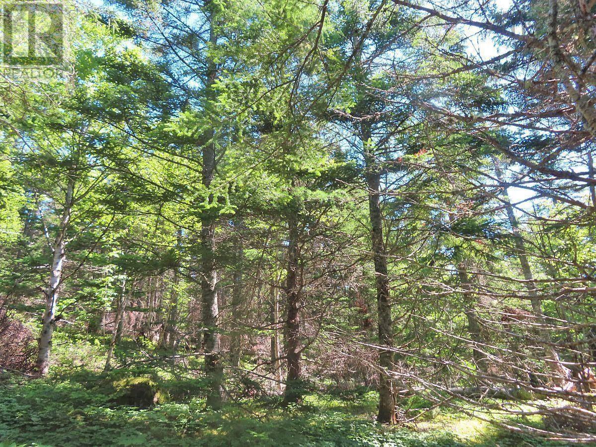 Lot 3 Upper Grand Mira Road Property Photo 17