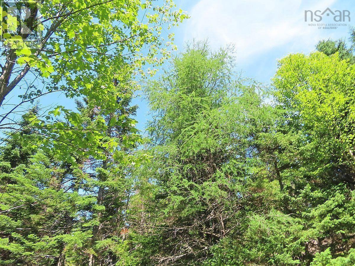Lot 3 Upper Grand Mira Road Property Photo 18