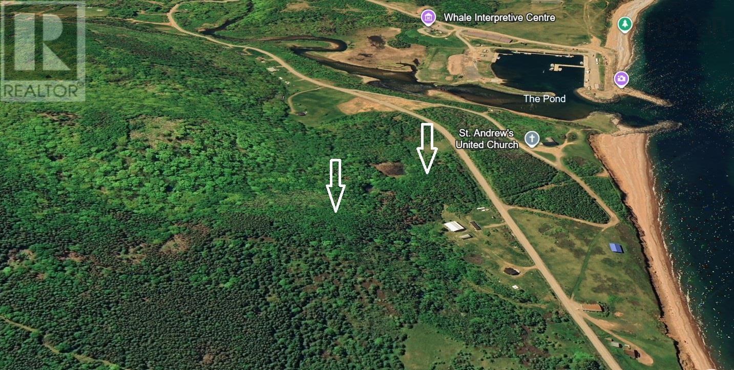 Red River Road Property Photo 4