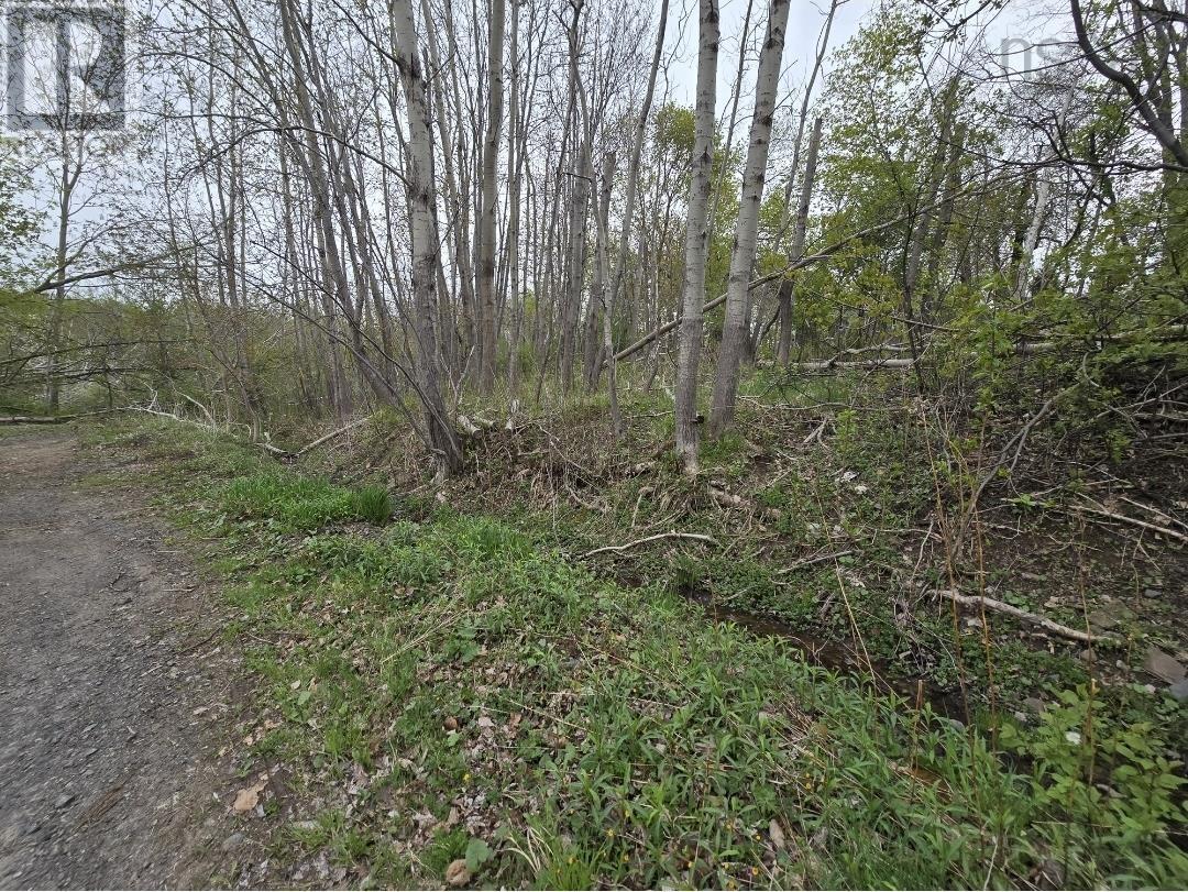 Double Lot 2 Brook Street Property Photo 3