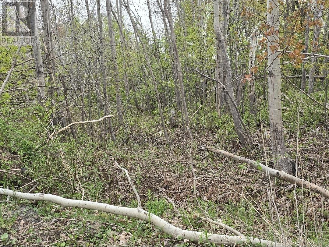 Double Lot 2 Brook Street Property Photo 5