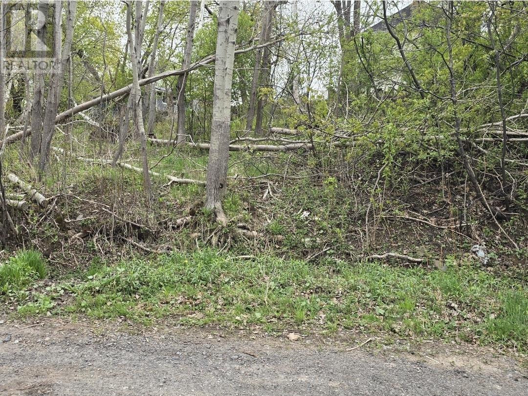 Double Lot 2 Brook Street Property Photo 6