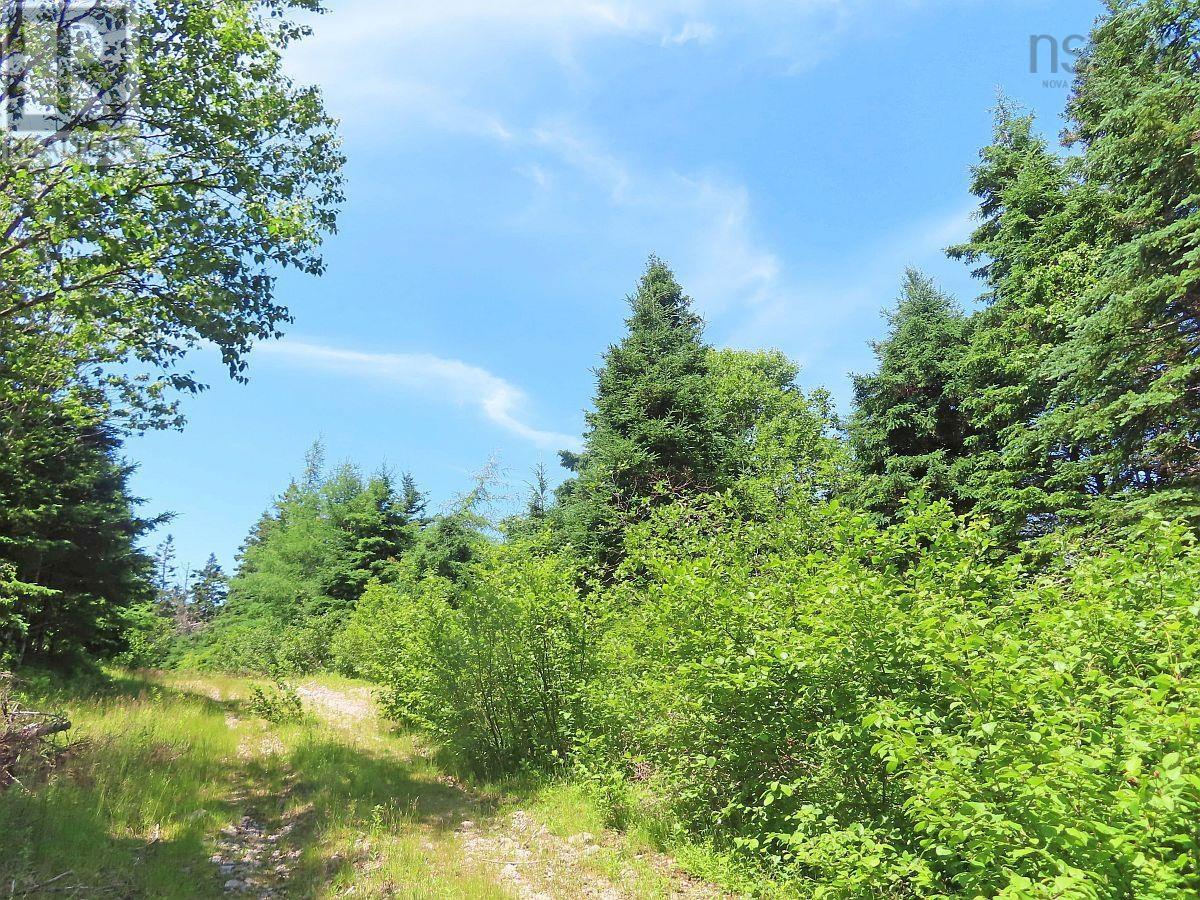 20 Acres Upper Grand Mira Road Property Photo 1