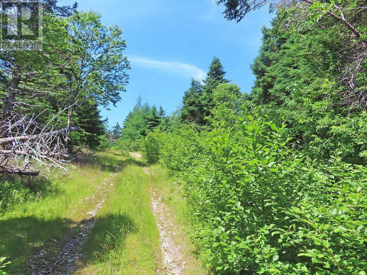 20 Acres Upper Grand Mira Road Property Photo 2