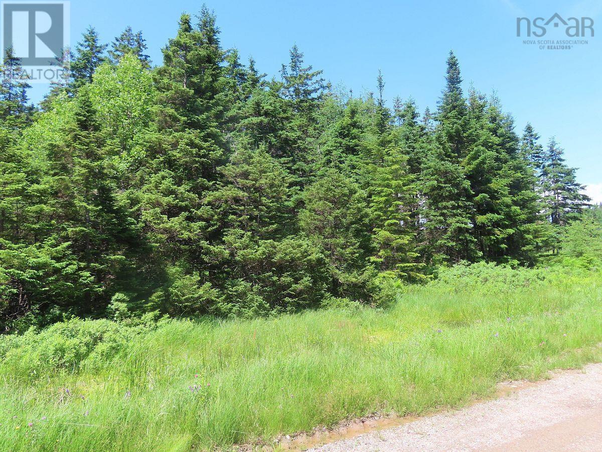 20 Acres Upper Grand Mira Road Property Photo 3
