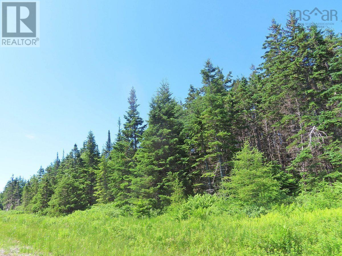 20 Acres Upper Grand Mira Road Property Photo 4