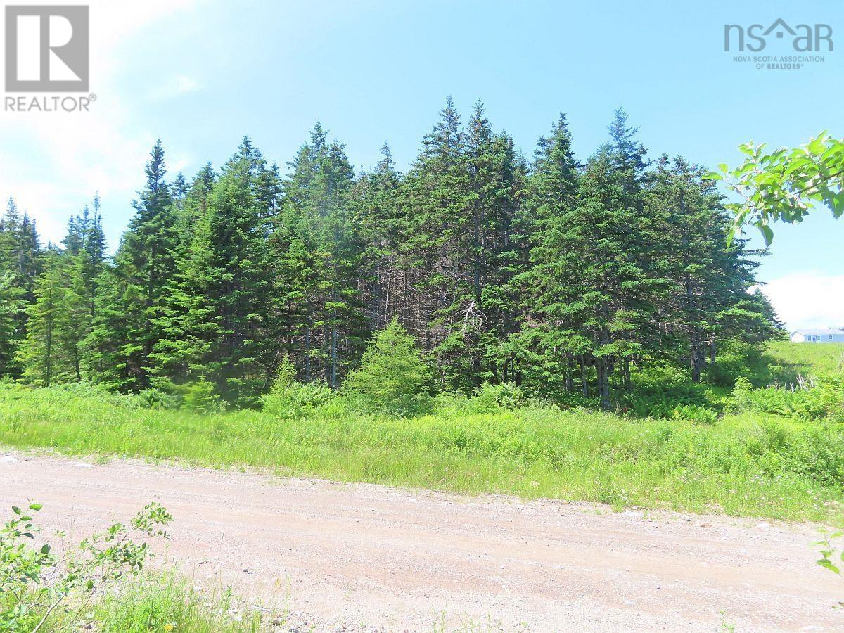 20 Acres Upper Grand Mira Road Property Photo 5