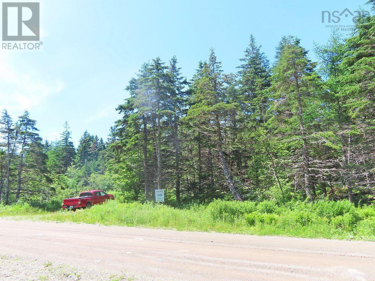 20 Acres Upper Grand Mira Road Property Photo 6