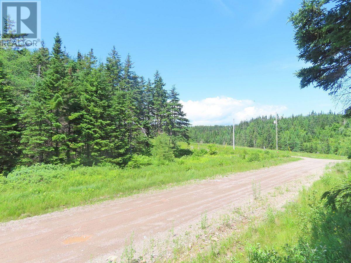 20 Acres Upper Grand Mira Road Property Photo 7