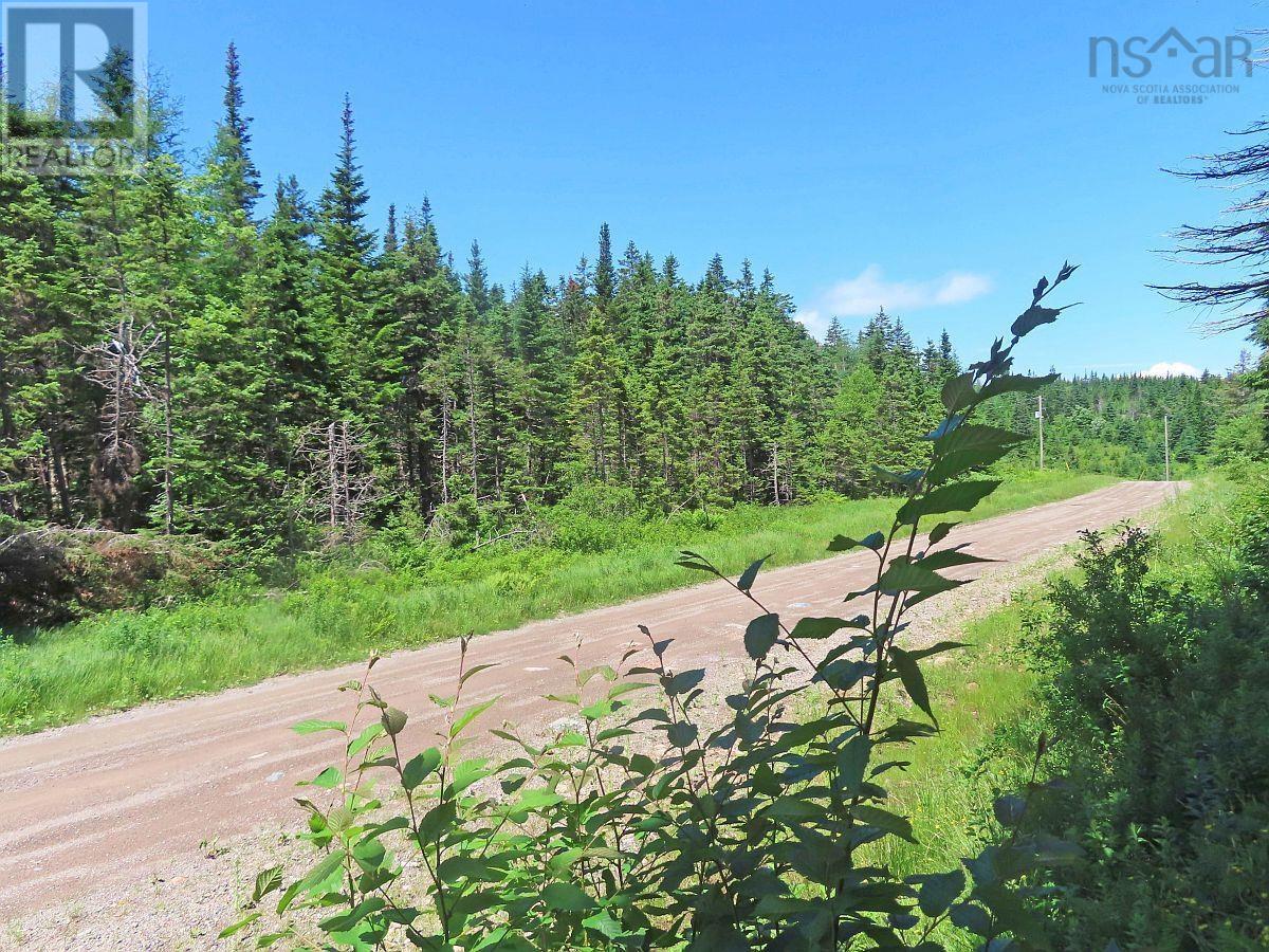 20 Acres Upper Grand Mira Road Property Photo 8