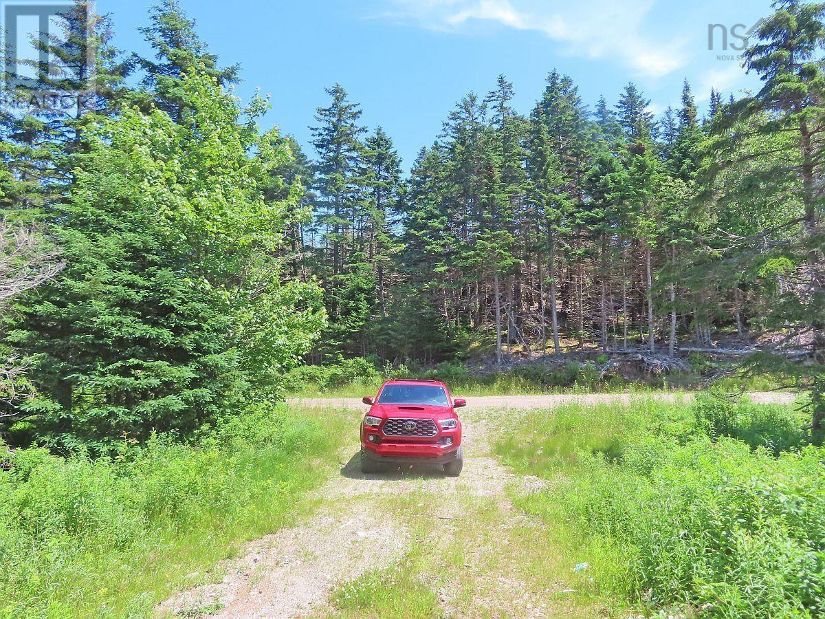 20 Acres Upper Grand Mira Road Property Photo 11