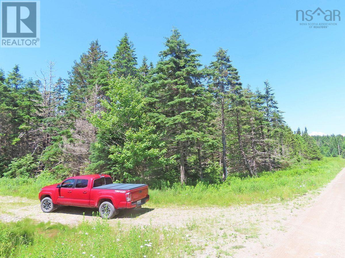 20 Acres Upper Grand Mira Road Property Photo 12