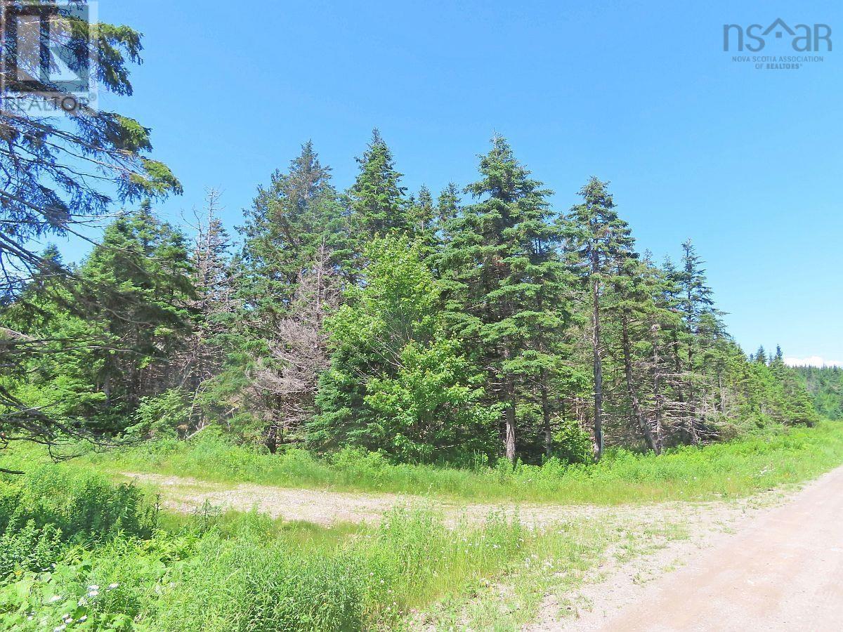 20 Acres Upper Grand Mira Road Property Photo 13