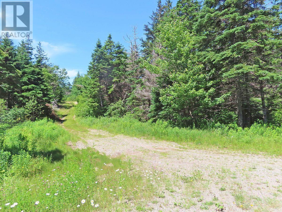 20 Acres Upper Grand Mira Road Property Photo 14