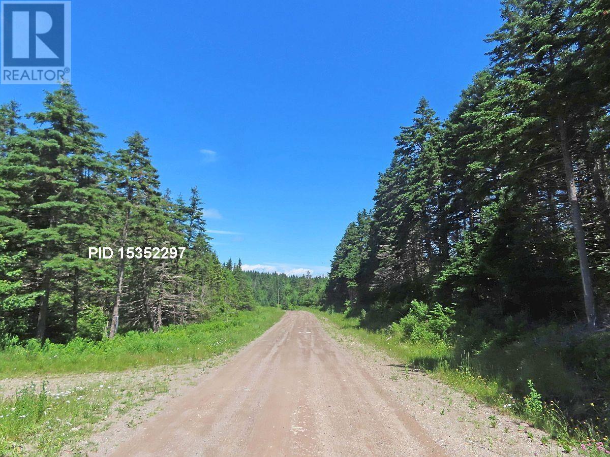 20 Acres Upper Grand Mira Road Property Photo 15