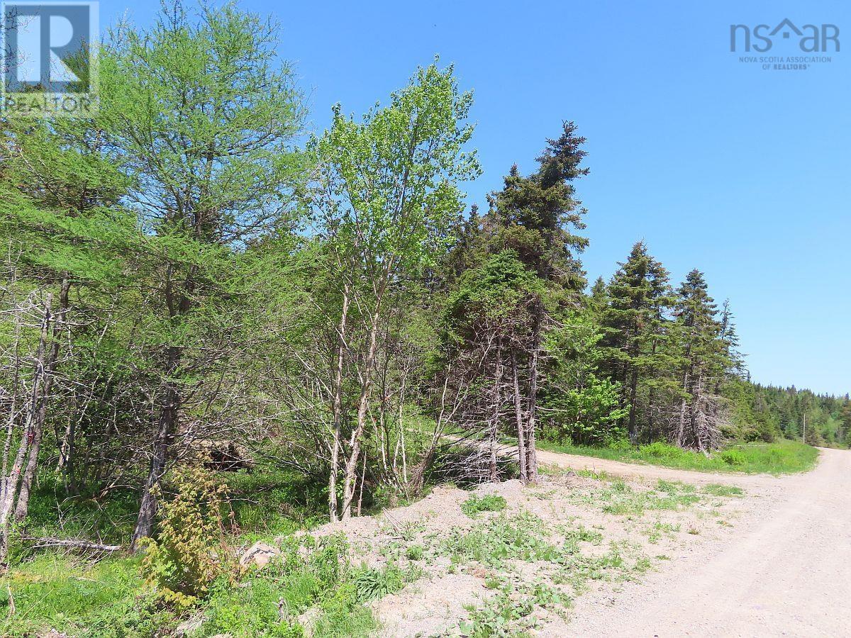 28 Acres Upper Grand Mira Road Property Photo 3