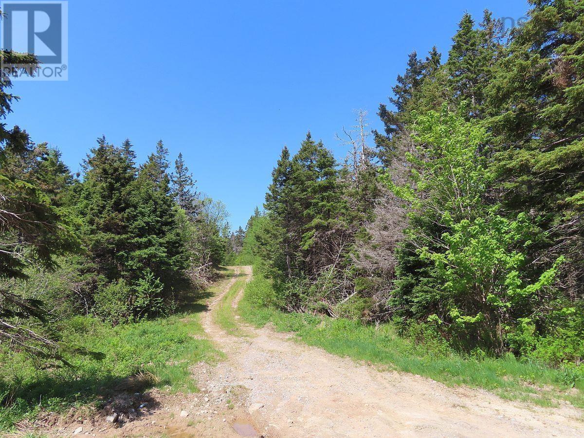 28 Acres Upper Grand Mira Road Property Photo 6