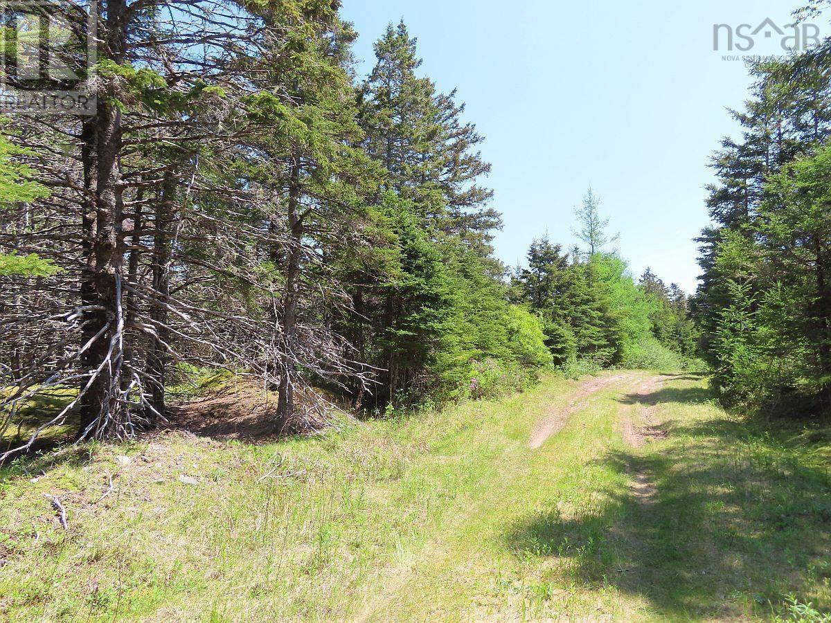 28 Acres Upper Grand Mira Road Property Photo 7