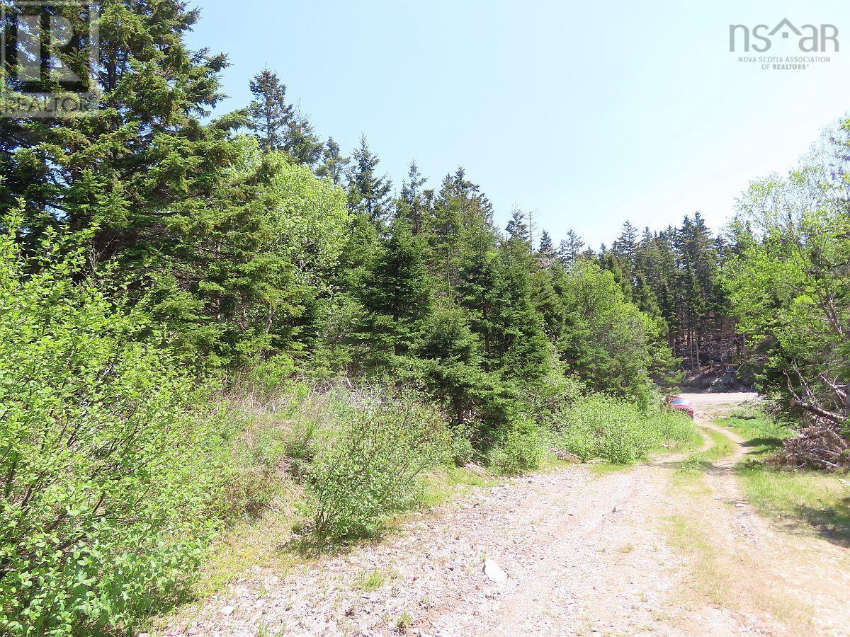 28 Acres Upper Grand Mira Road Property Photo 8