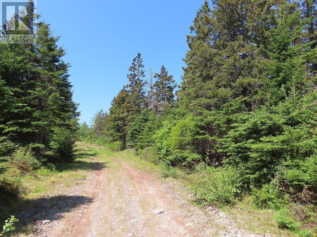 28 Acres Upper Grand Mira Road Property Photo 9