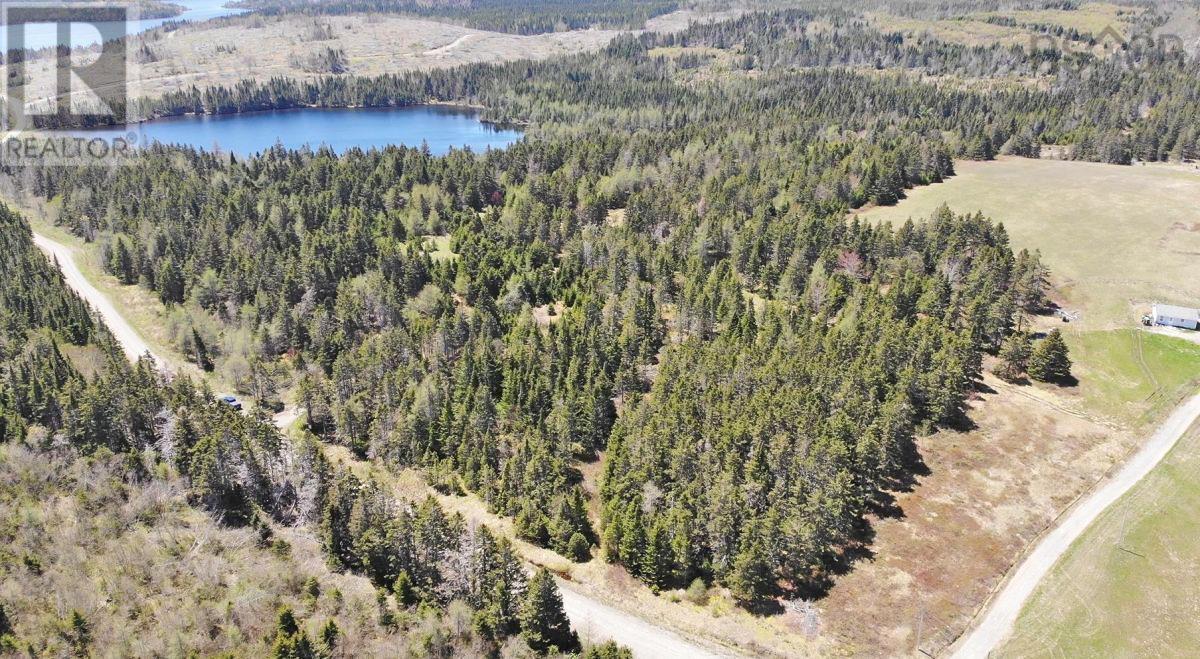 28 Acres Upper Grand Mira Road Property Photo 11