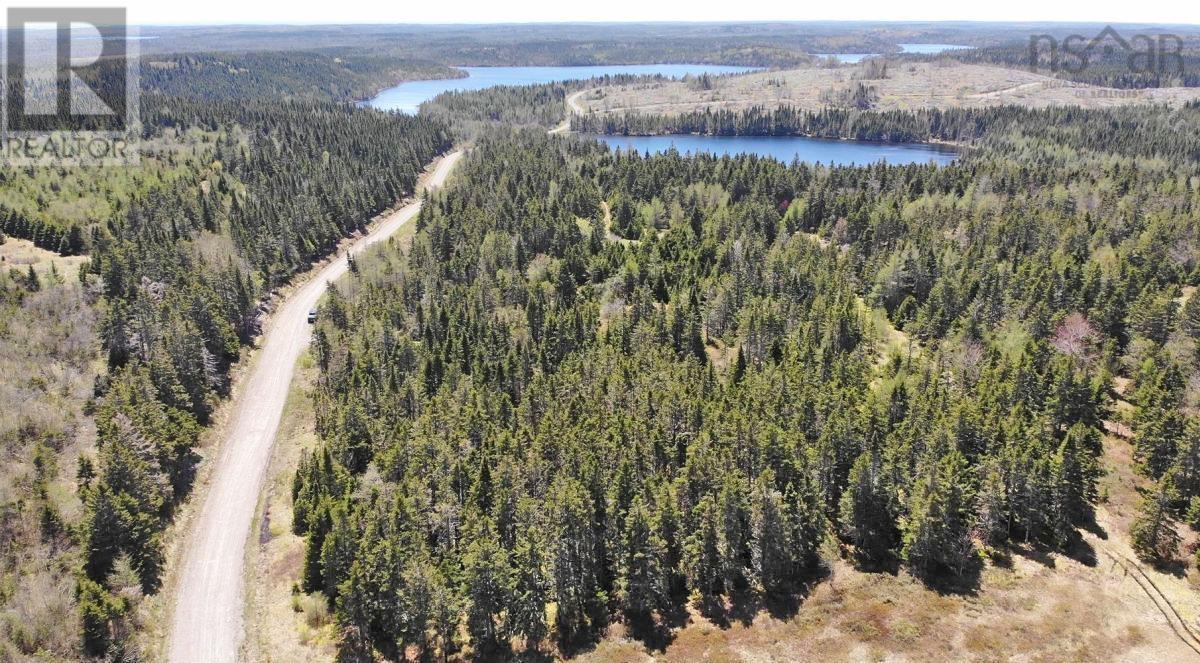 28 Acres Upper Grand Mira Road Property Photo 12