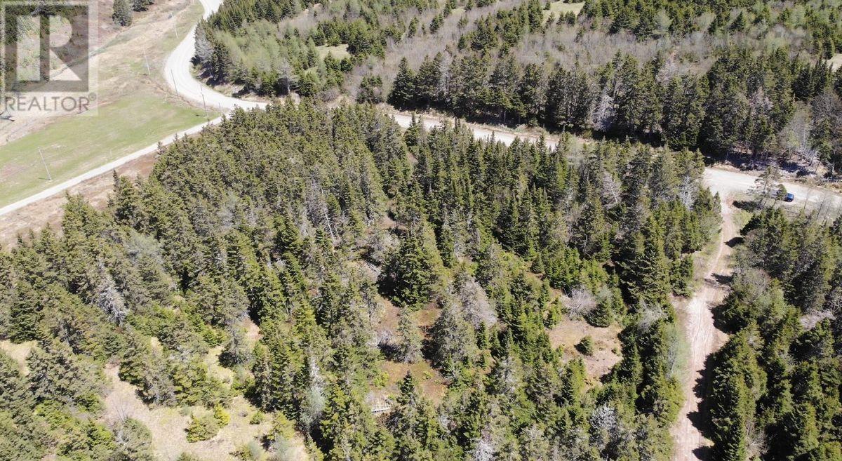 28 Acres Upper Grand Mira Road Property Photo 15