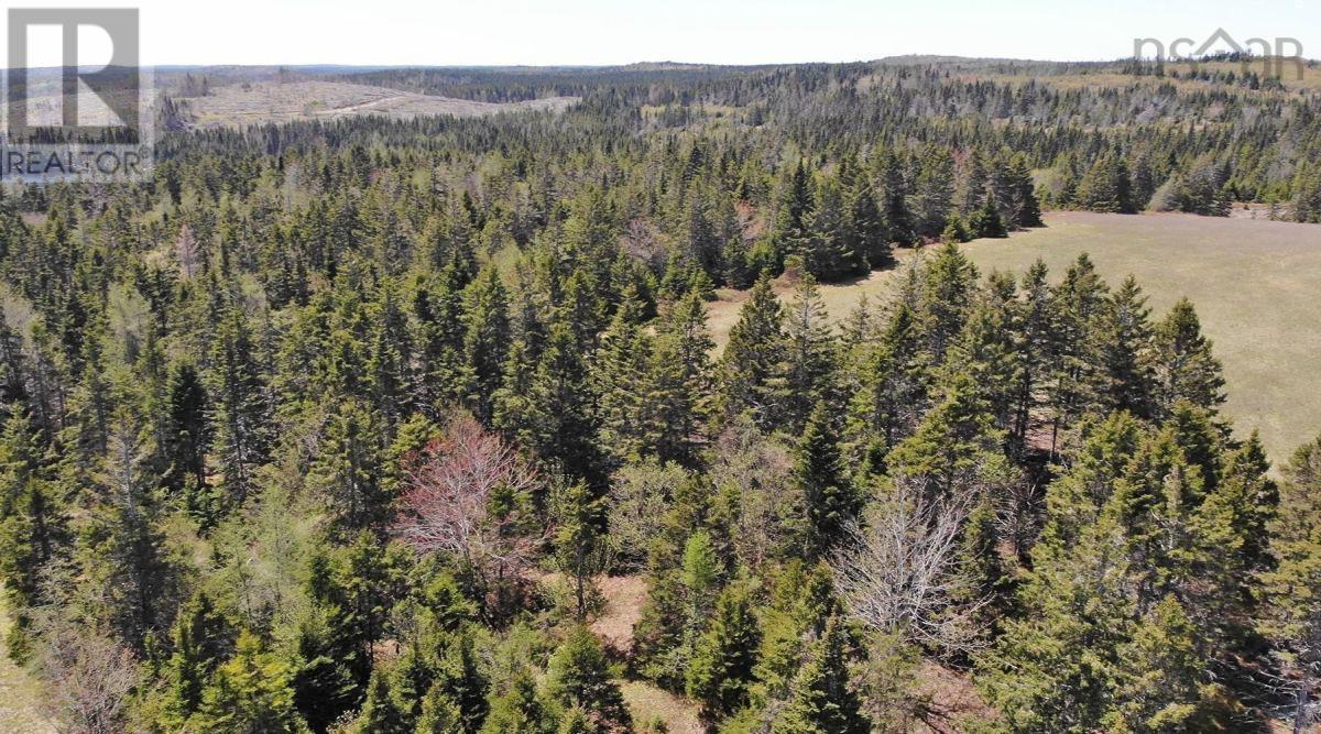 28 Acres Upper Grand Mira Road Property Photo 18