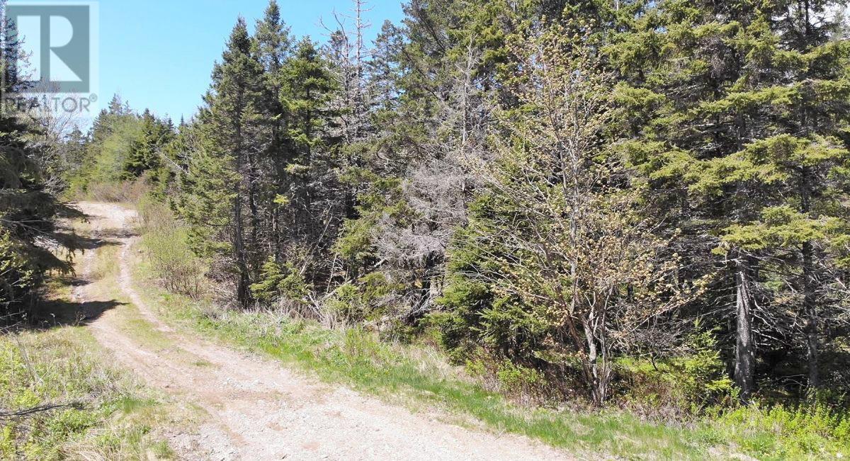 28 Acres Upper Grand Mira Road Property Photo 19