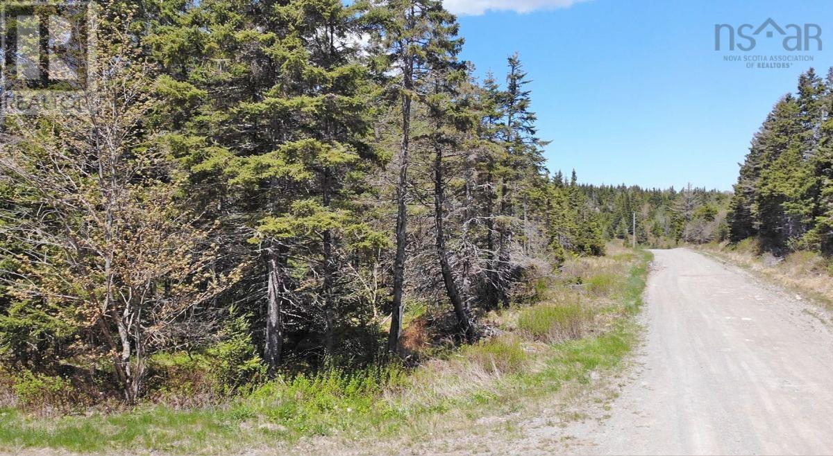 28 Acres Upper Grand Mira Road Property Photo 20